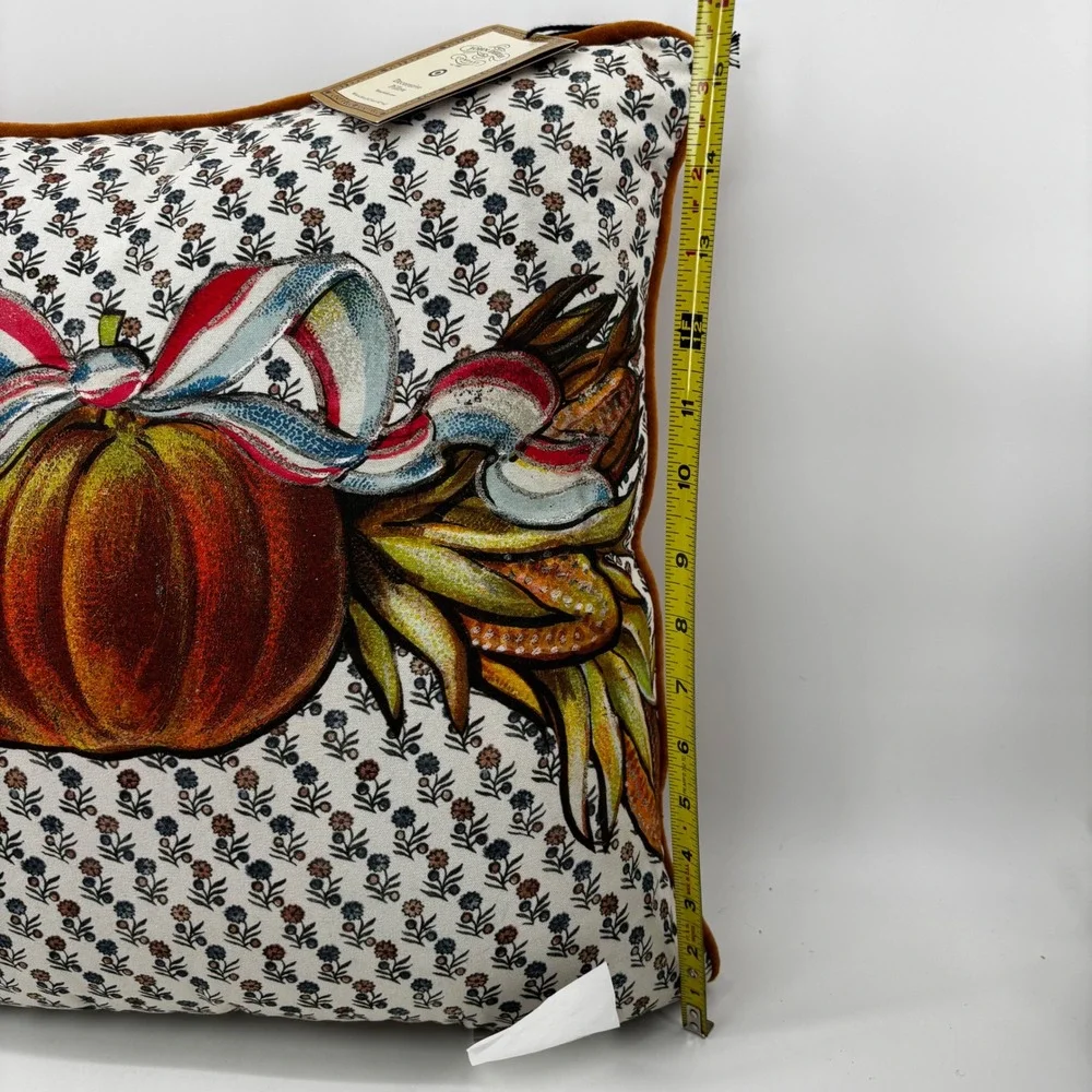 John Derian for Target Pumpkin Harvest Decorative Pillow Rust Velvet Back 16x16